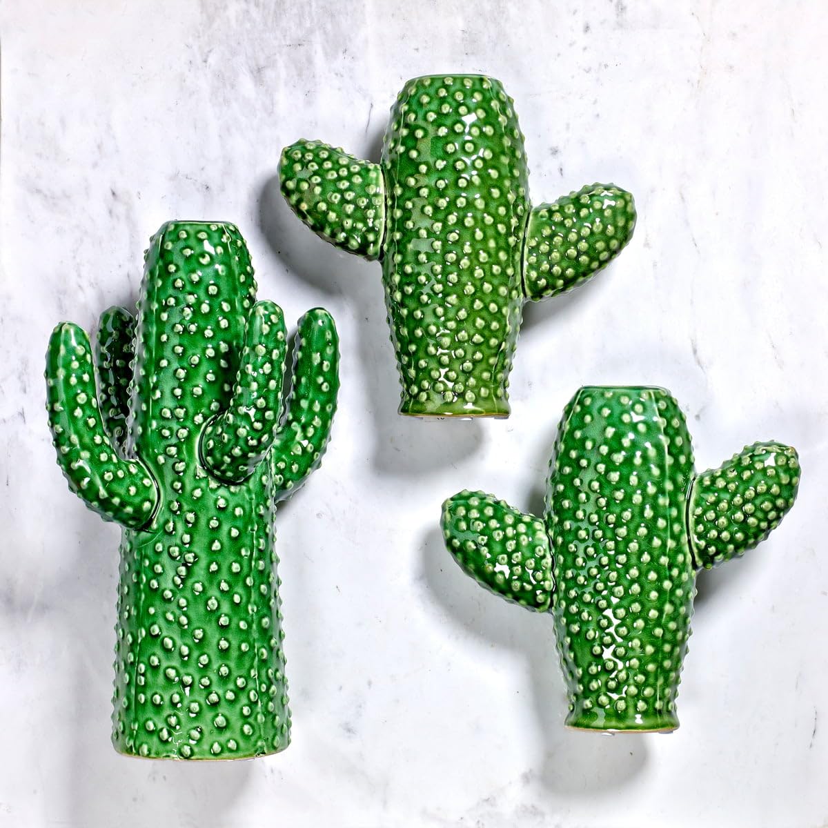 Amazon.com: SERAX Cactus Medium Green TSB2513008 : Tools & Home Improvement