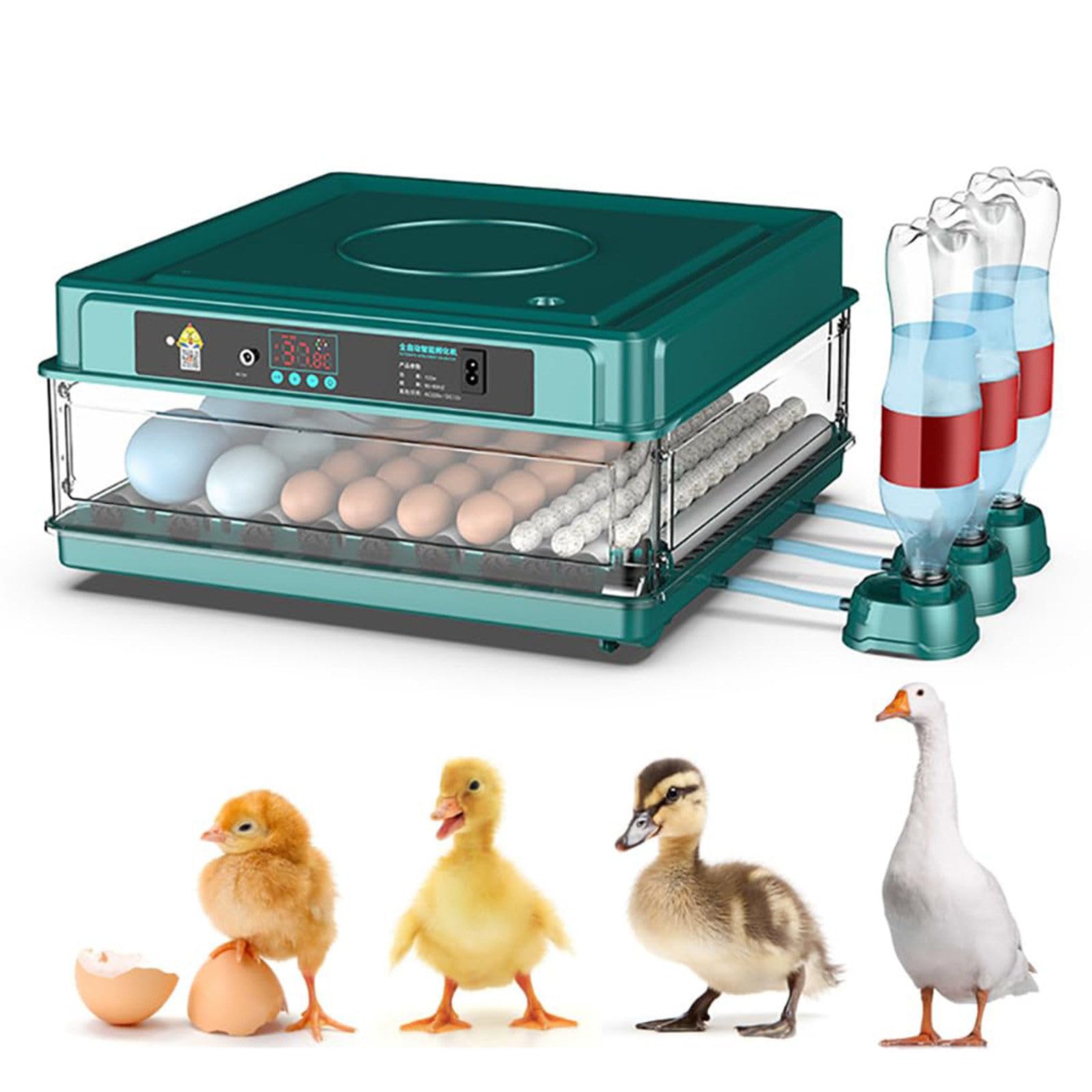 Wasd3Pods Professional Egg Incubator - Automatic Turner + Temperature/Humidity Control, Digital Automatic Brooder Chicken, Poultry Hatcher Machine, For Quail/Duck/Chicken/Goose/Bird 64Eggs