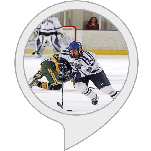 Hockey Breakaway Challenge Alexa Skills