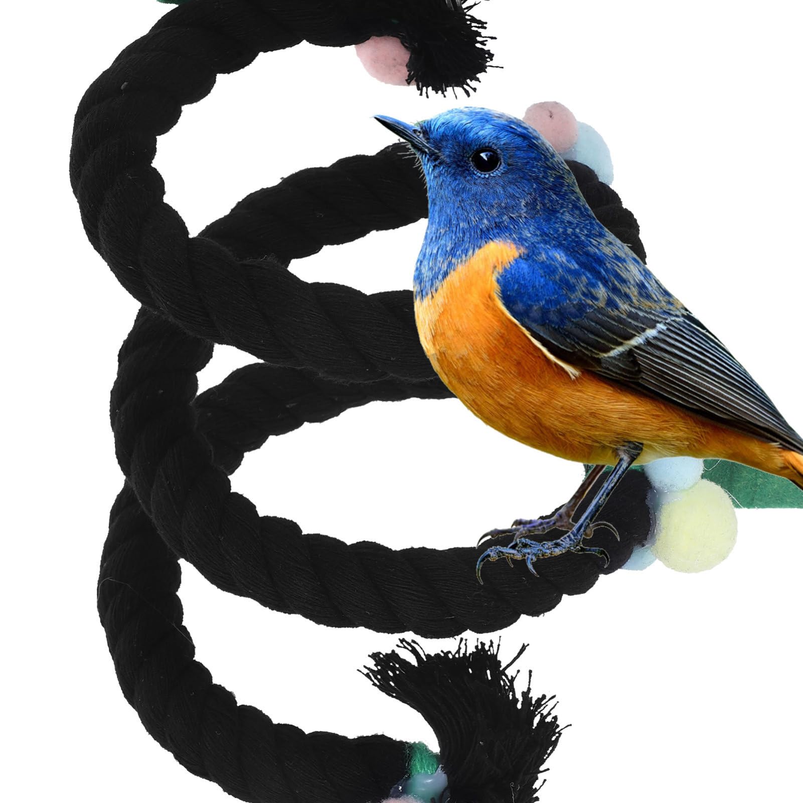 BESPORTBLE 4pièces Balancelle Corde pour Oiseaux Support pour Perroquet Accessoire De Jouet pour Cage à Oiseaux pour Grimper Et Reposer
