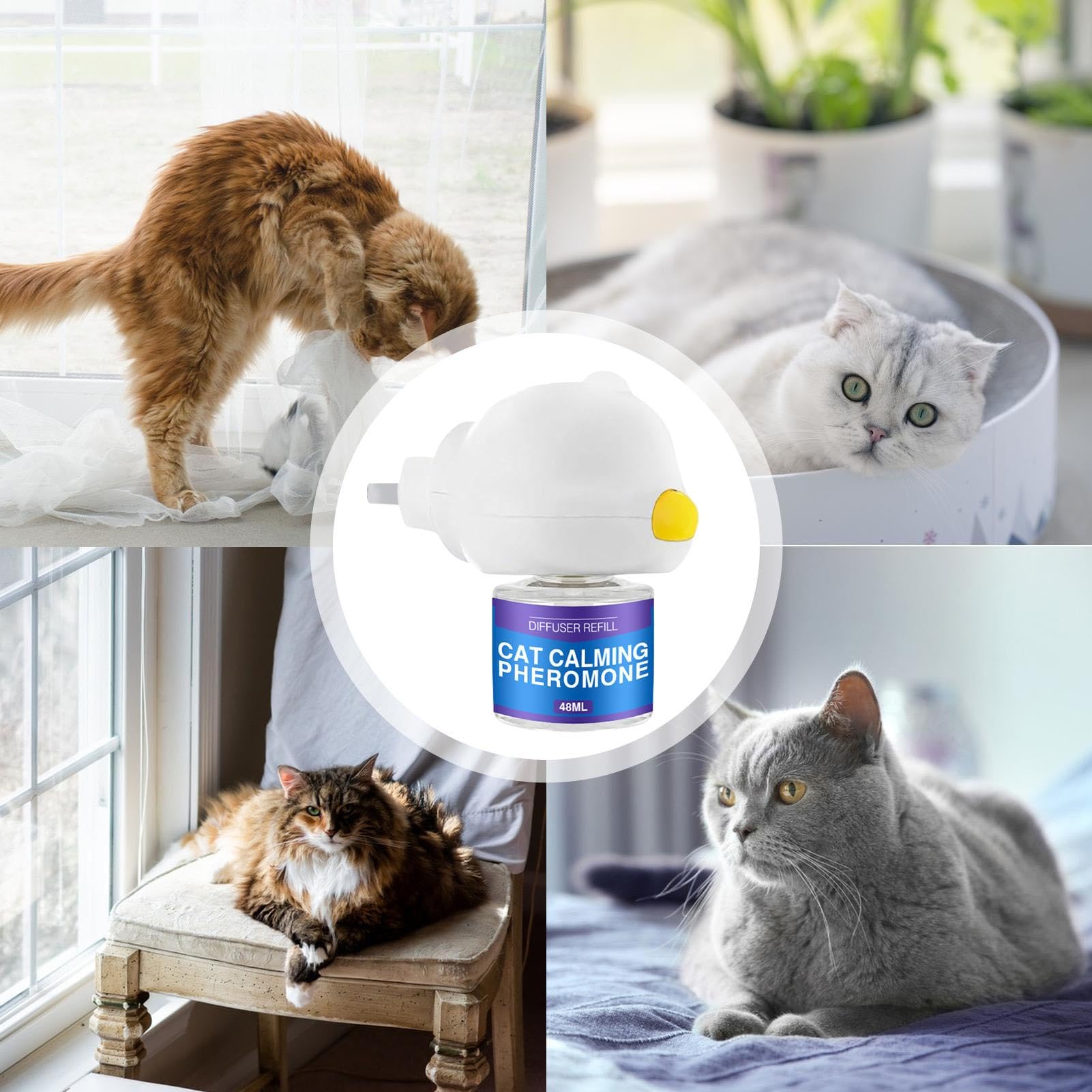 Diffuseur De Phéromones Apaisantes Pour Chat – Réduit Stress, Grattages, Marquage, Sans Prise - 4