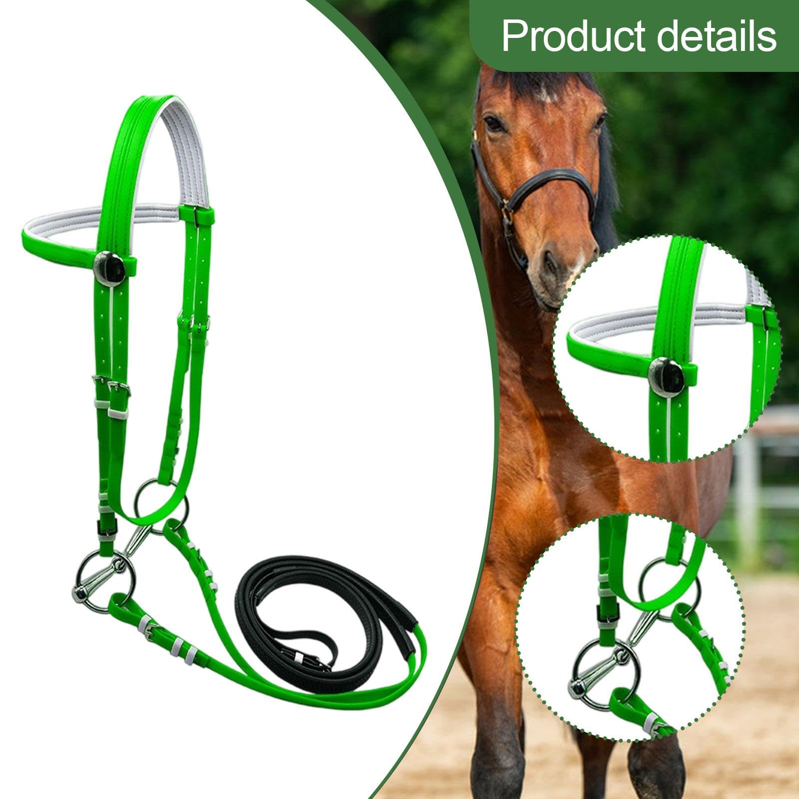 Fenteer Cabezada de Caballo con Rienda, Cabestro, Cuerda de Montar, Correa para La para Lecciones, Cursos, Senderos, Entrenamiento en Pist