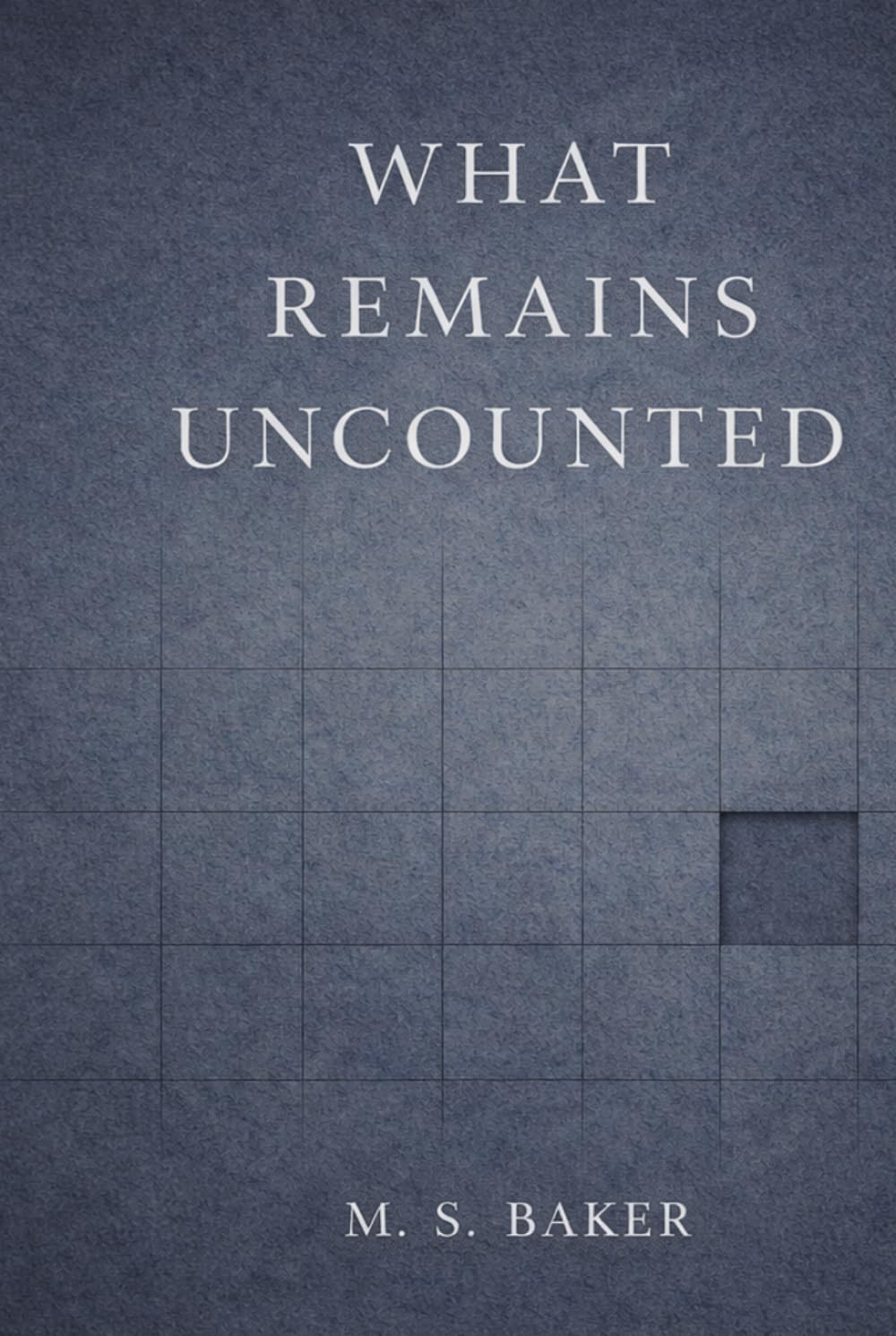 What Remains Uncounted: On Stability, Compliance, and the Cost of Order