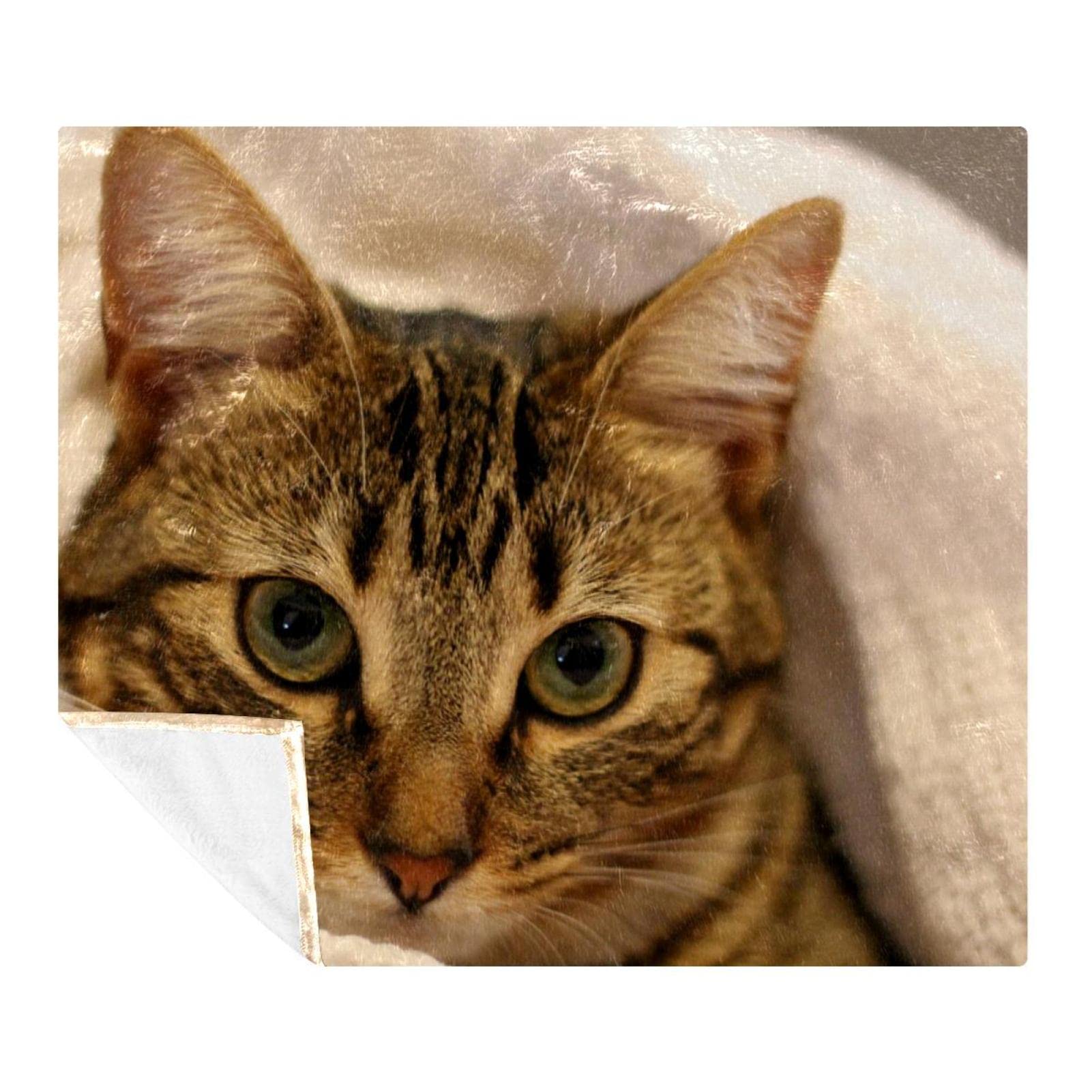 Couverture Polaire de literie haut de gamme design Catcato Animal pour lit