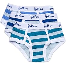 Feathers Boys Multi Stripe Snug Fit Tagless Briefs Underwear - 3/Pack