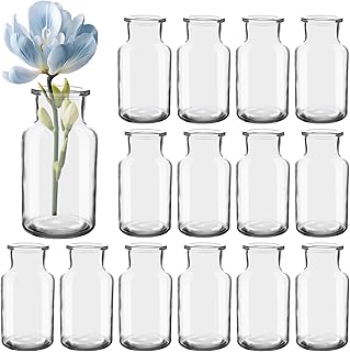 Mini Glasvasen Set von 15, 250 ml kleine Flaschen, Blumenvasen, Tischvasen, Glasvasen, dekorative Flaschen, Glasflaschen Bulk, Glasflaschen für Tischdekoration, Mittelpunkt, Hochzeit