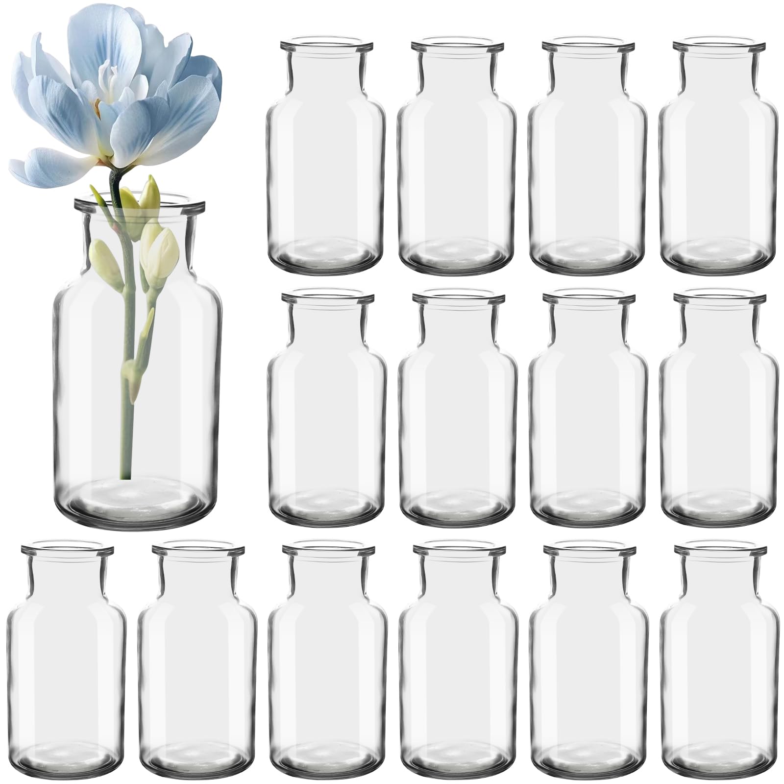Mini Glasvasen Set von 15, 250 ml kleine Flaschen, Blumenvasen, Tischvasen, Glasvasen, dekorative Flaschen, Glasflaschen Bulk, Glasflaschen für Tischdekoration, Mittelpunkt, Hochzeit