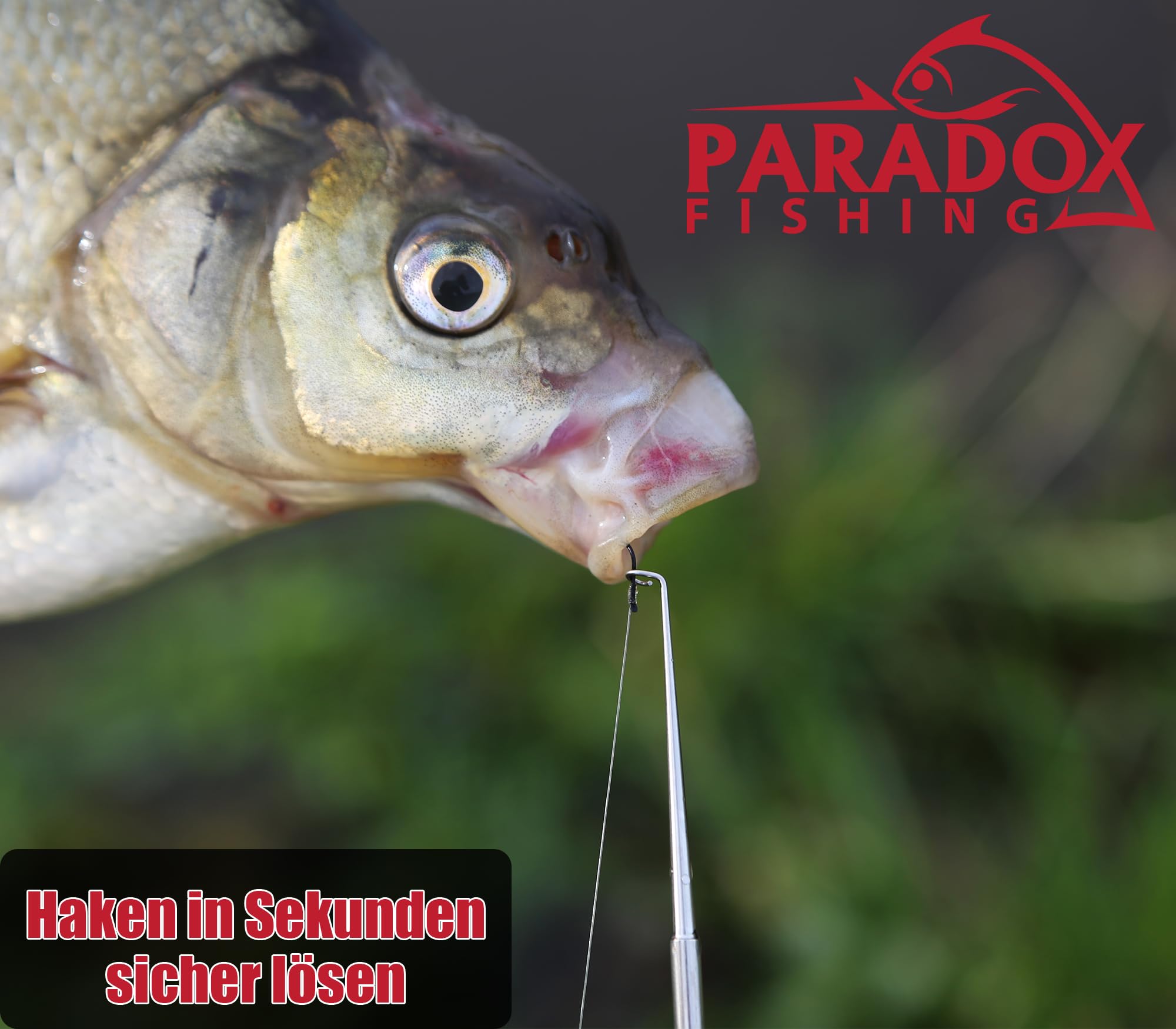 Paradox Fishing Zestaw wypychaczy do haczyków 3 sztuki I szczypce wędkarskie Akcesoria wędkarskie - Wypychacz do haczyków wędkarskich