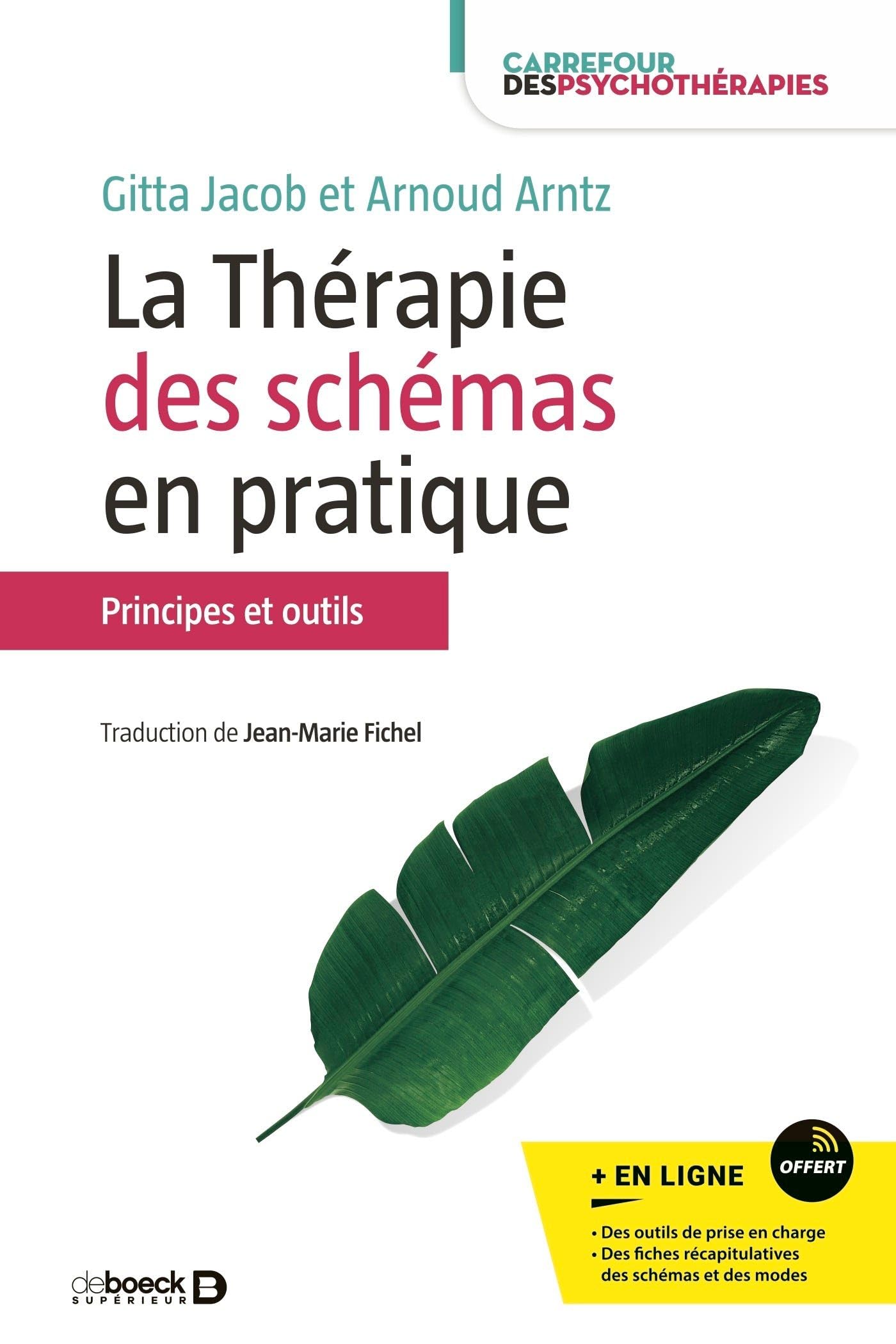La thérapie des schémas en pratique: Principes et outils
