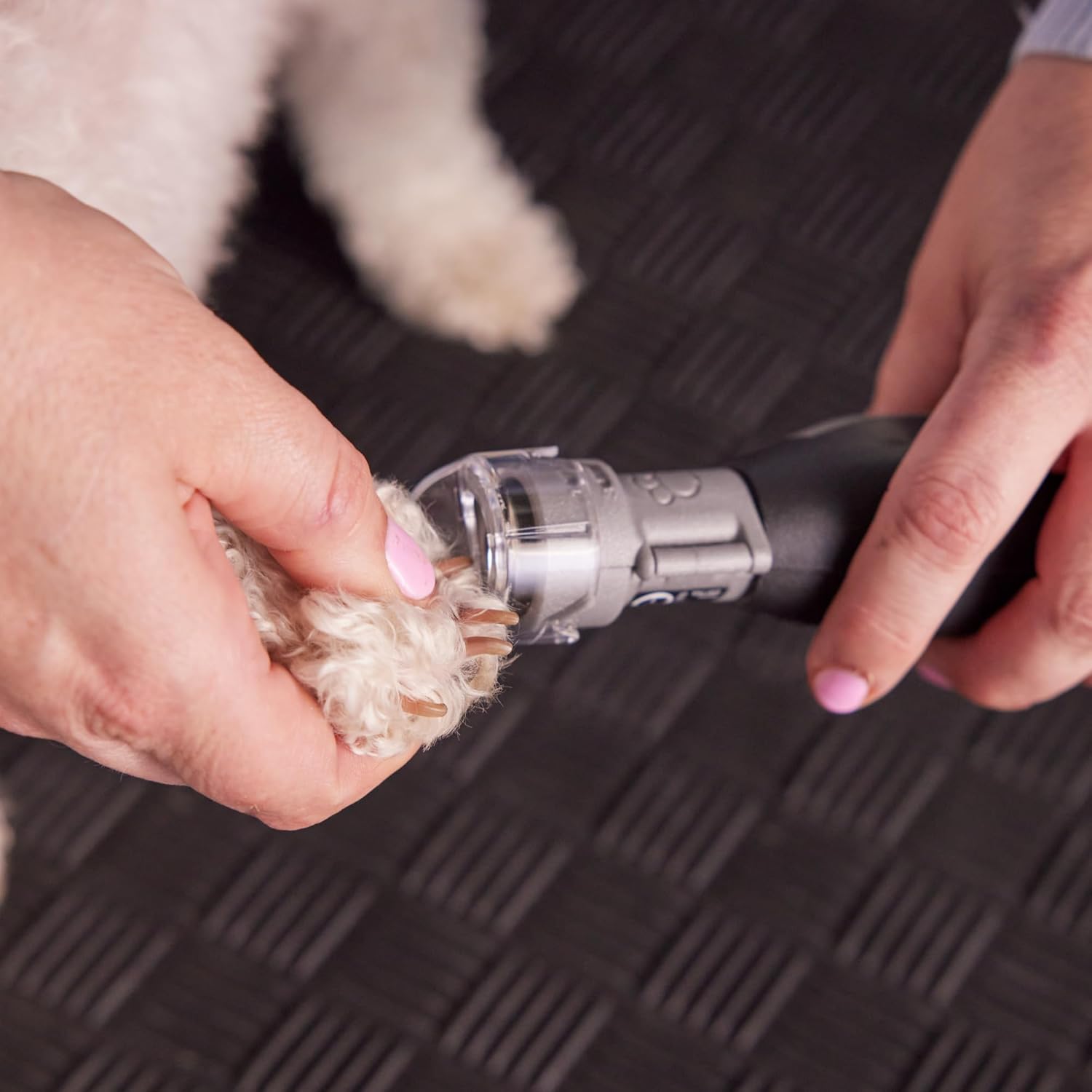 Dremel Pet Grooming Nail Guard Attachment, Ideal for Dog & Cat Nail Trimming, AT02-PGK