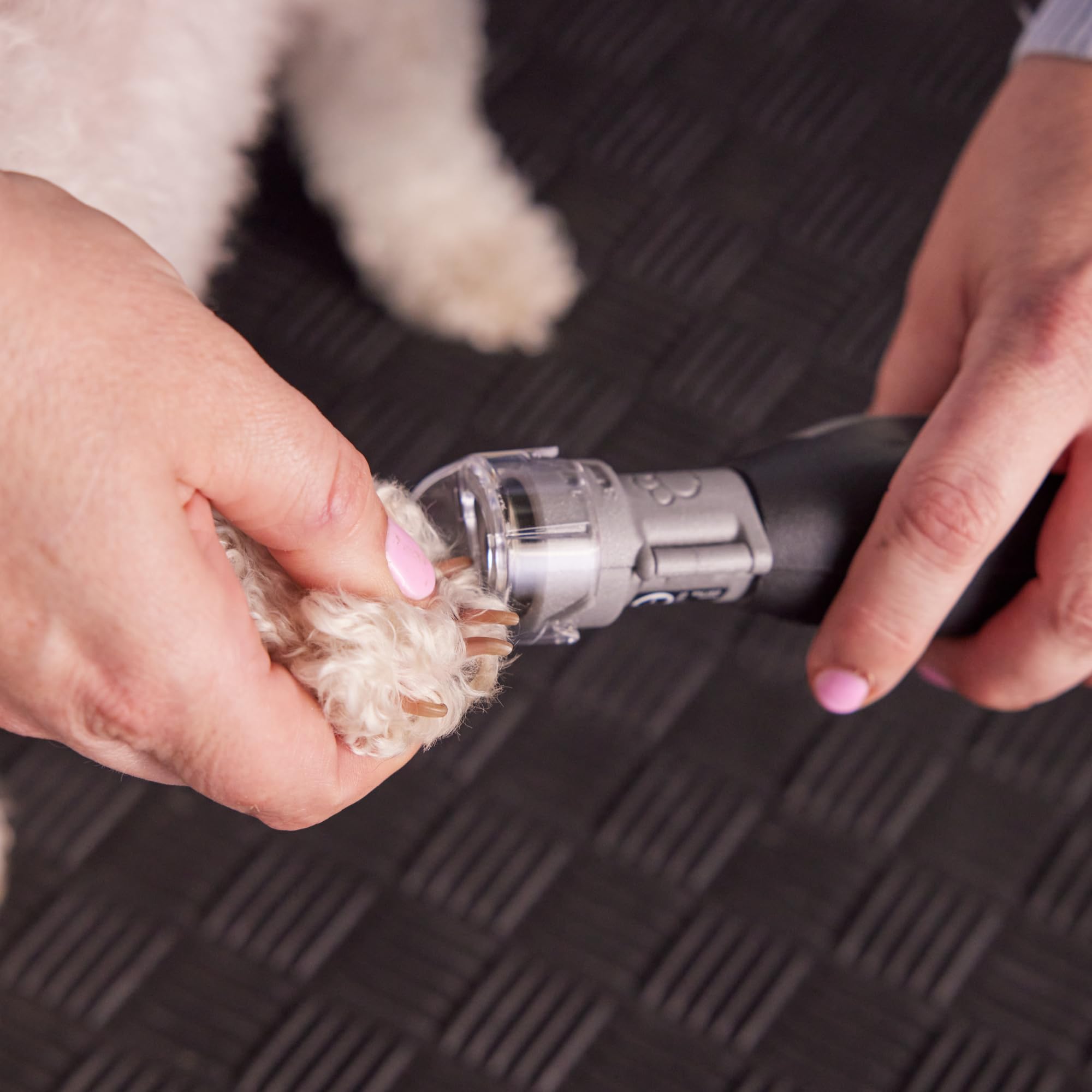 Dremel Pet Nail Guard - Gentle Nail Trimming -4 Dremel Pet Nail Guard - Gentle Nail Trimming -4