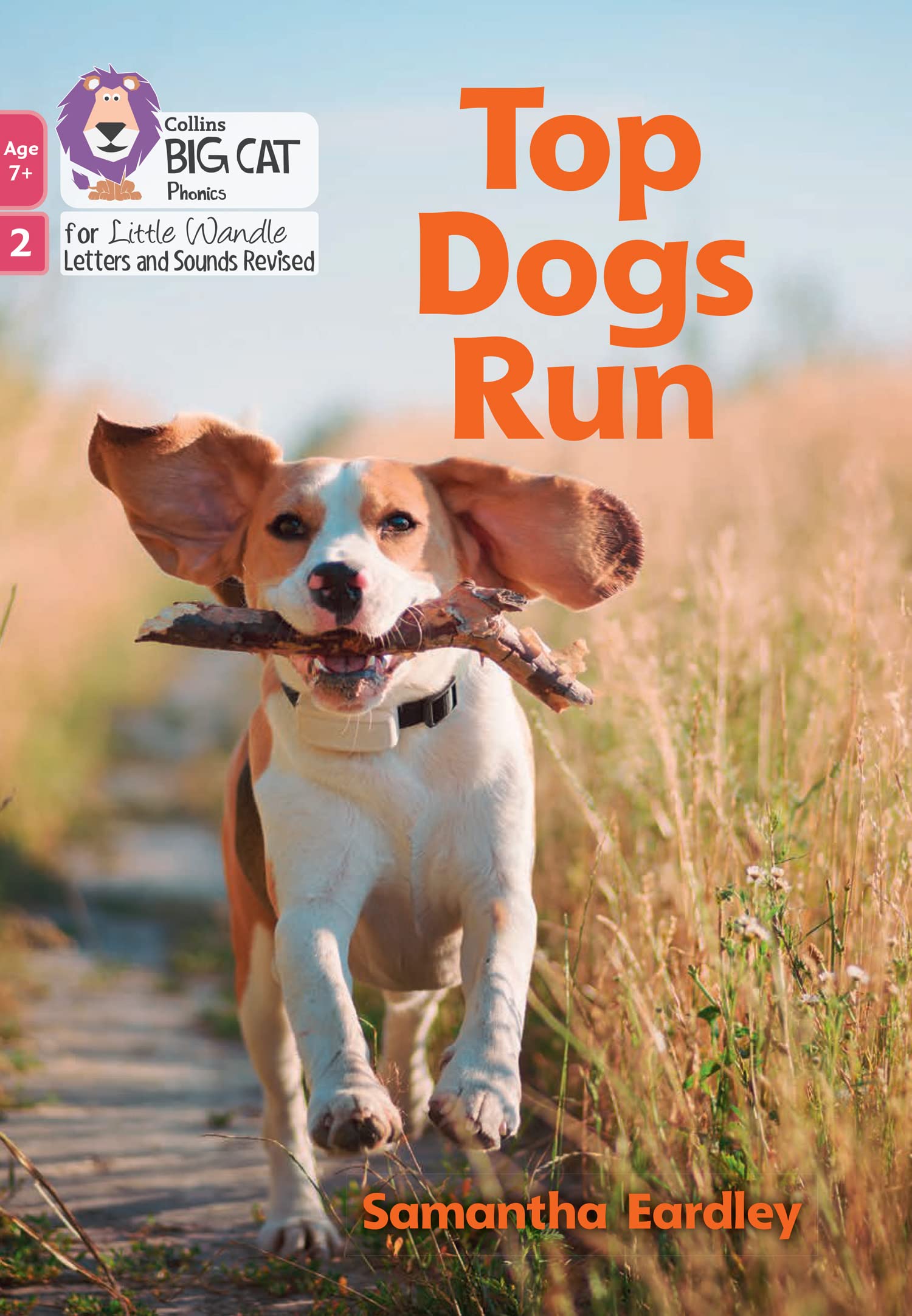 Top Dogs Run: Phase 2 Set 4 (Big Cat Phonics for Little Wandle Letters and Sounds Revised – Age 7+)
