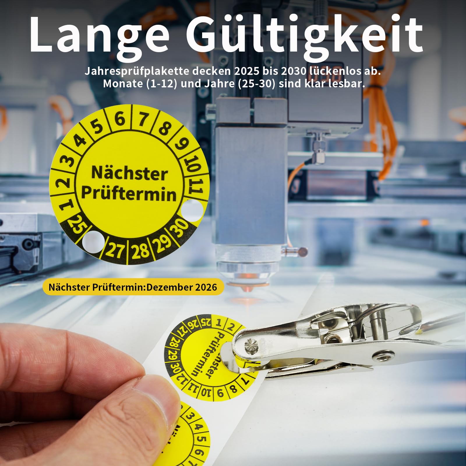 1000 stuks meerjarige inspectiestickers 2025-2030 30 mm teststickers