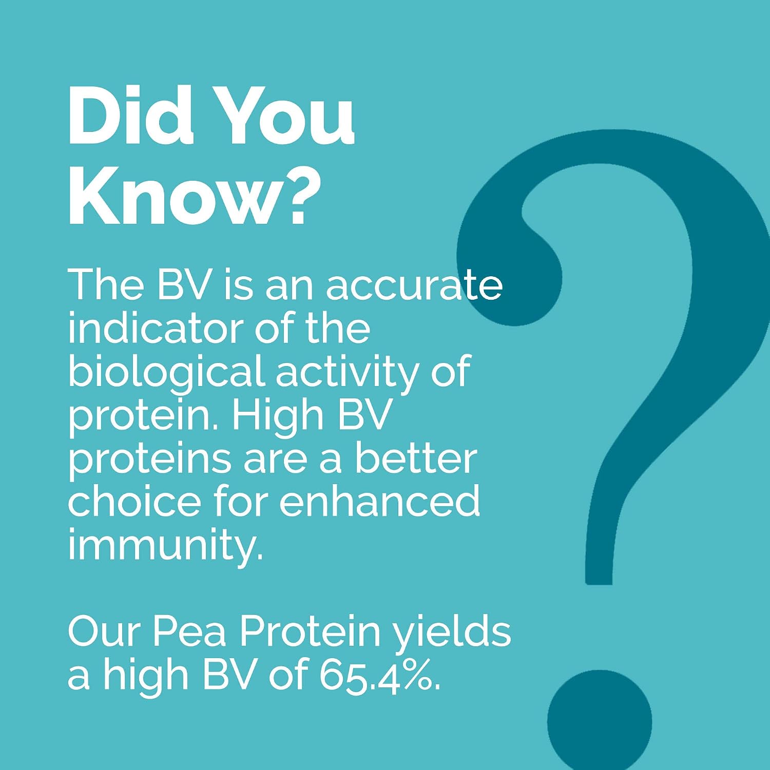 SANE Protein Powder Vegan + Unflavored Raw Pea + 26 Grams of Protein Per Serving, Organic Plant Based Vegan Protein Powder, Gluten Free + Cholesterol Free + Soy Free