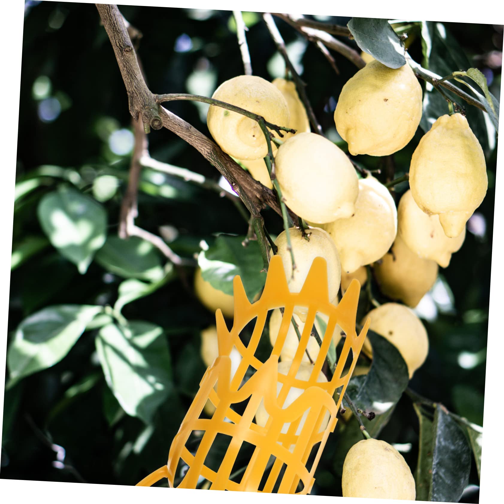 balacoo 2sets Ergonomic Fruit Picker No Climbing Needed Fruit Picker Tool Sturdy Easy to Install 2pcs*2