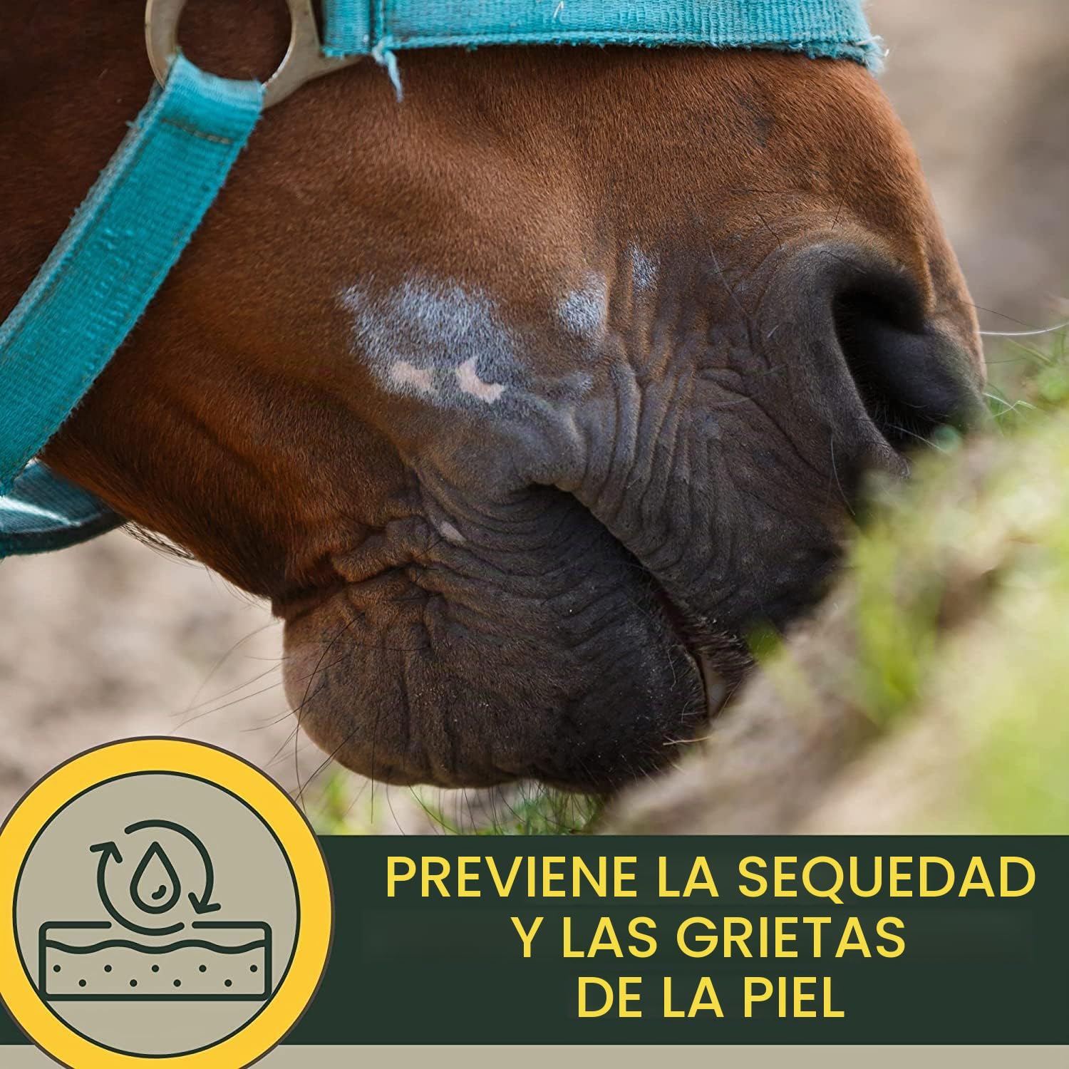 Pomada de Zinc Caballo Perro Gato I para Heridas I Crema de Zinc para Heridas Abiertas I para Eczema con Zinc para Picazón de los Malleros para Curación de Heridas I Curación de Heridas Animales 250ml