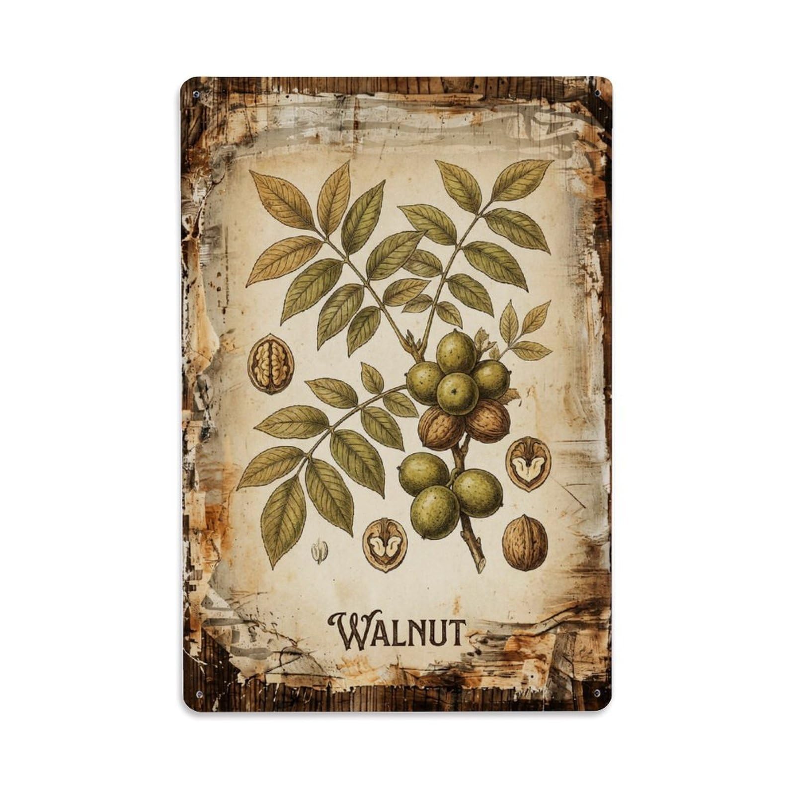 Fqnyr Style Walnut Tree Nut 1 Metal Tin Sign Plaque Wall Decor For Cafe, Club Bar, Office, Home Garden Metal Poster 8X12inch