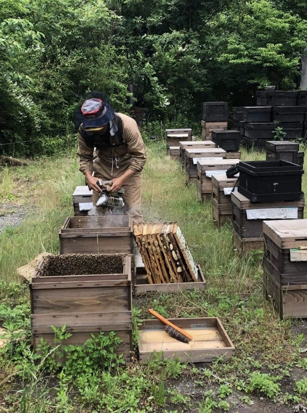 Amazon | 【Bee Smile】国産 熊取 の 天然 百花 はちみつ 1,000g1本