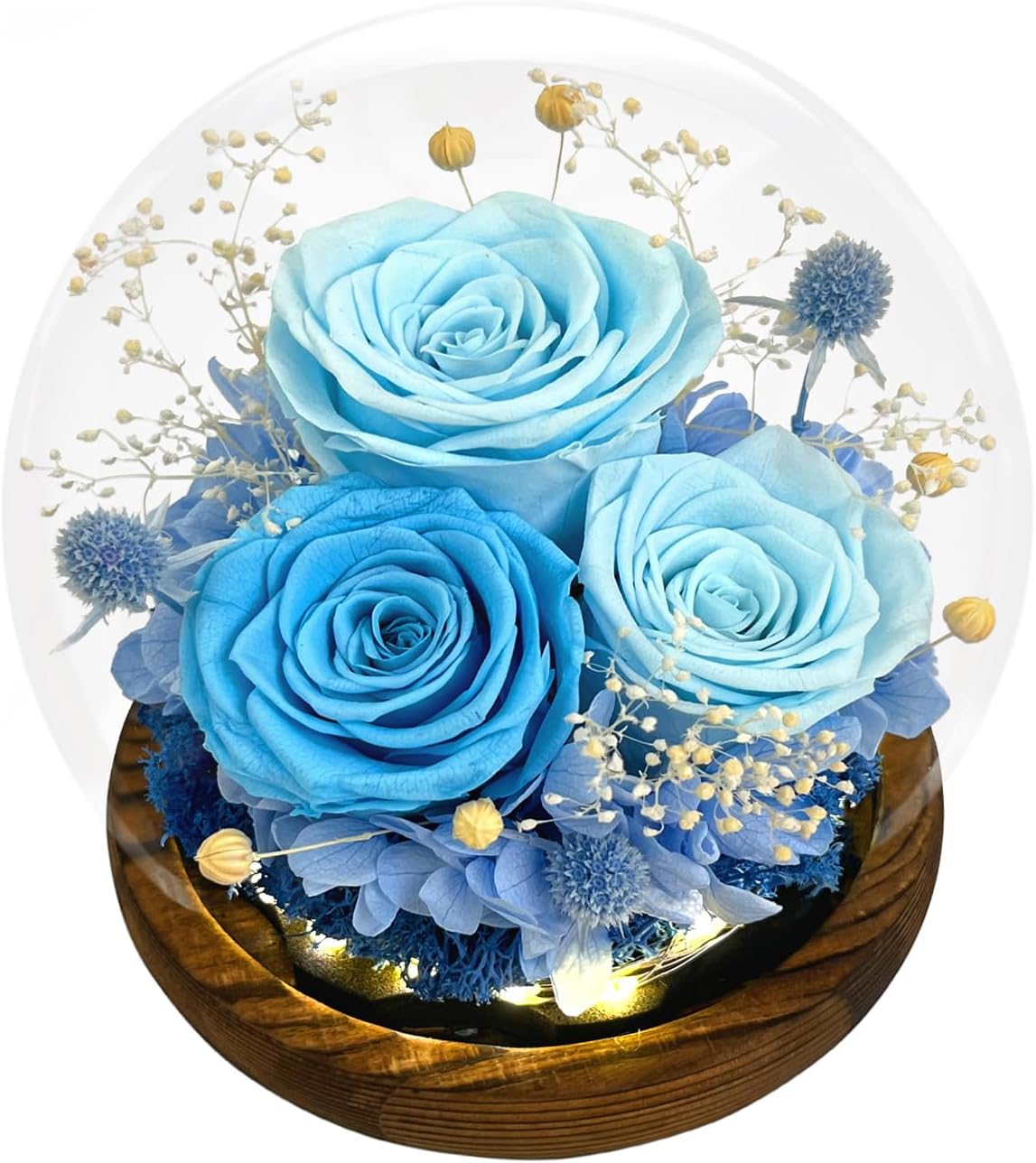 FIACO Valentines Day Gifts for Her Preserved Flowers in Glass Dome Long-Lasting Eternal Roses Birthday Gifts for Women Mom Grandma Wife Girlfriend Her Girlfriend Forever Flowers for Delivery Prime