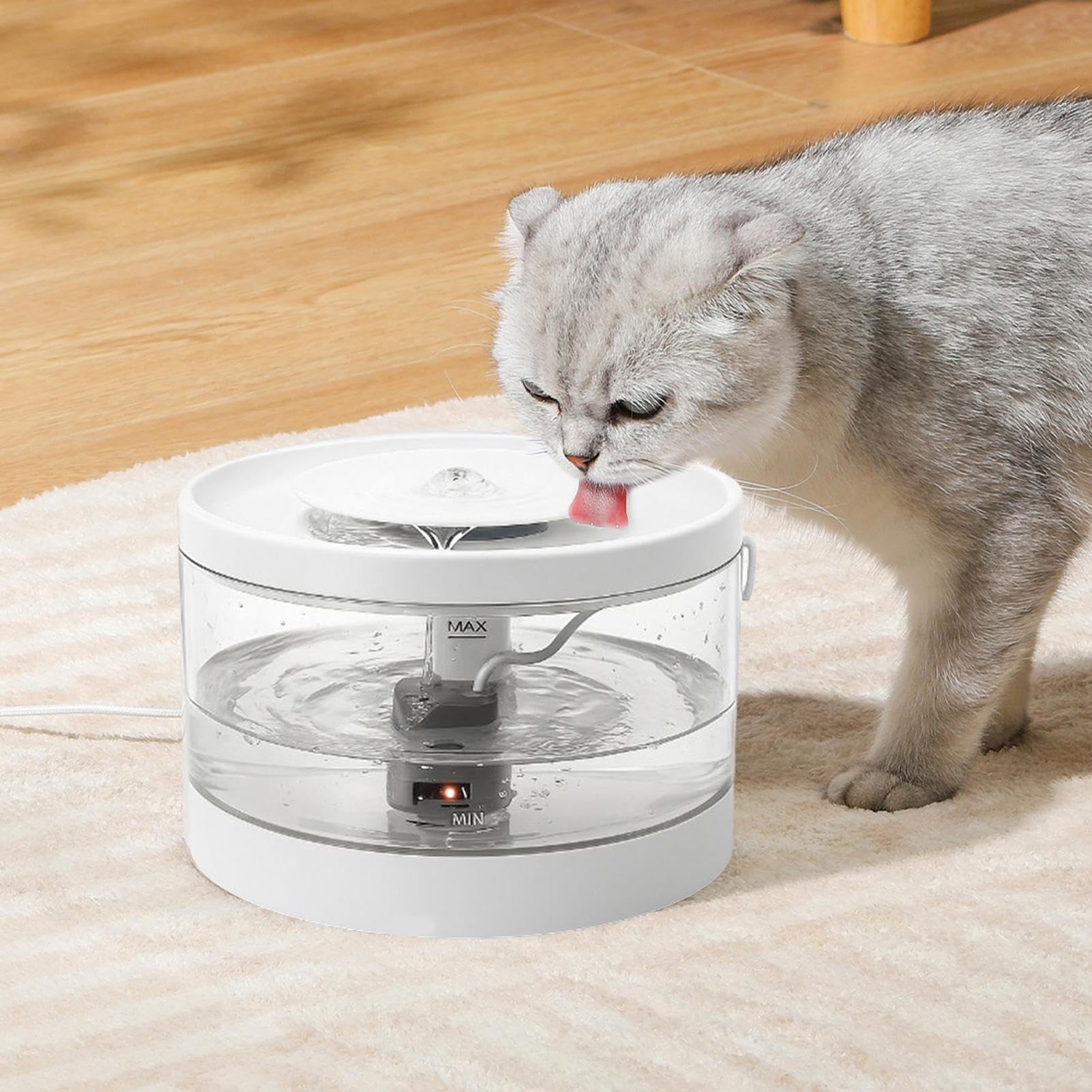 Distributore D'Acqua Per Animali Distributore USB Con Filtro | Abbeveratoio Automatico Per Adatto Ad Animali Domestici Gatti Cuccioli Casa Soggiorno Pavimento Angolo