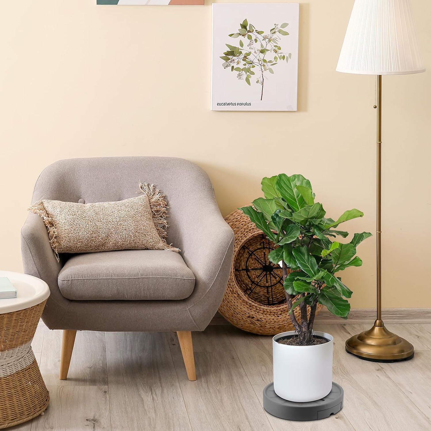 Lot de 2 bacs à fleurs ronds de 33 cm avec roulettes mobiles invisibles, chariot de fleurs avec réservoir d'eau, pour la maison, le jardin, le bureau (gris, Polypropylène, 33 cm, 37 cm, 6 cm)