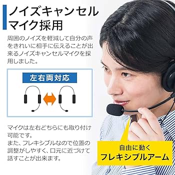 Amazon.co.jp: サンワダイレクト 電話機用 ヘッドセット RJ-9