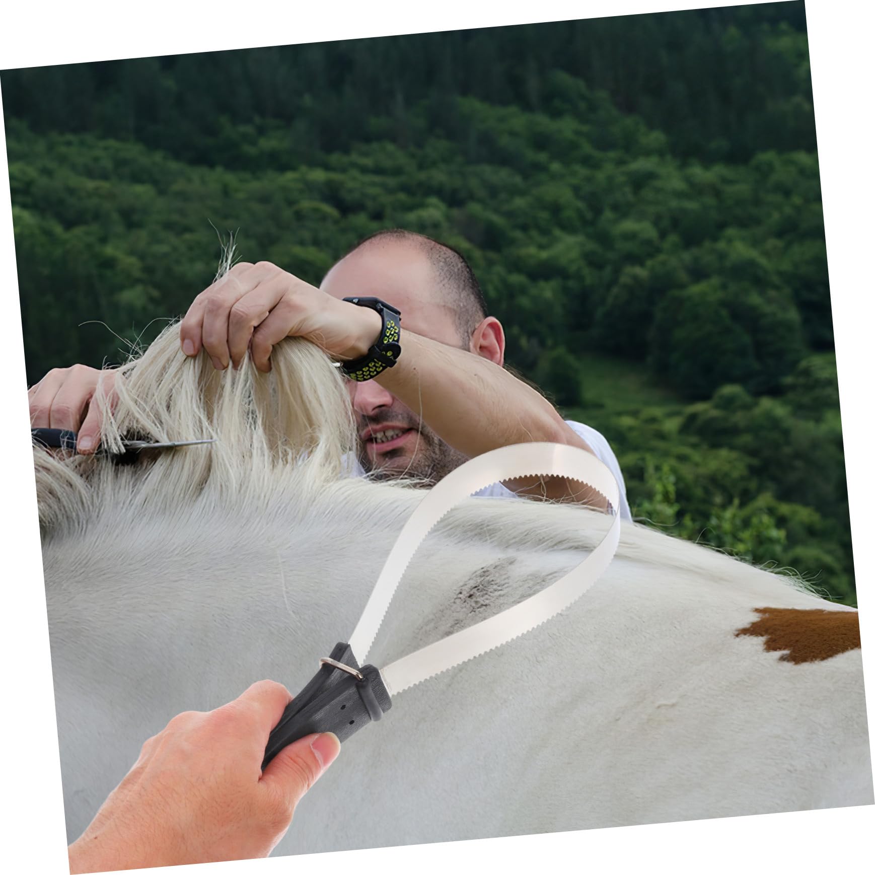 Cepillo de Pelo de Caballo con Raspador de Acero Inoxidable 11.81x3.74x0.59 Pulgadas