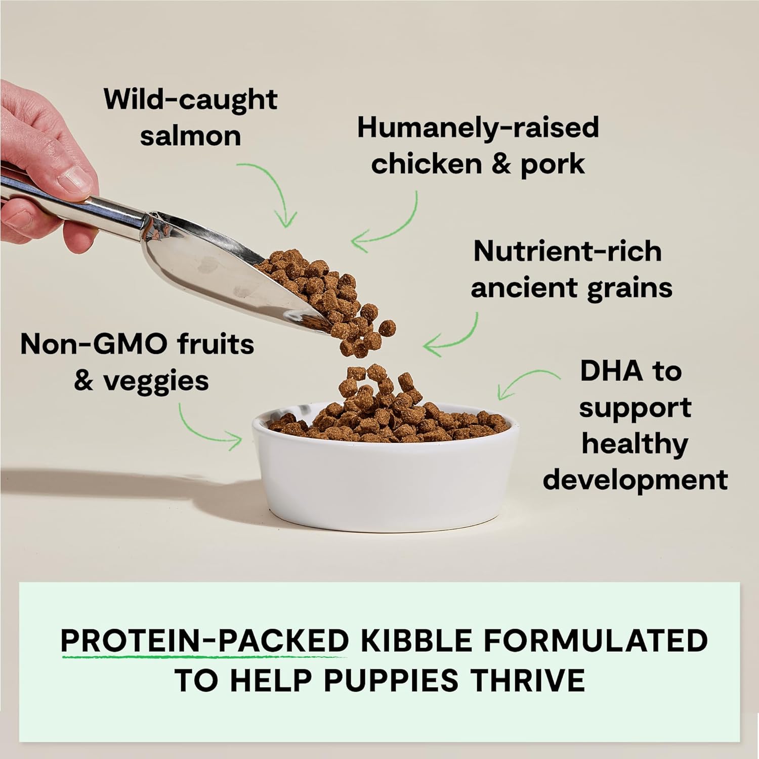 Open Farm, Puppy Essentials Bundle, Includes Puppy Dog Food with Ancient Grains, Freeze Dried Raw Morsels for Puppies, and Be Good Bites Training Treats