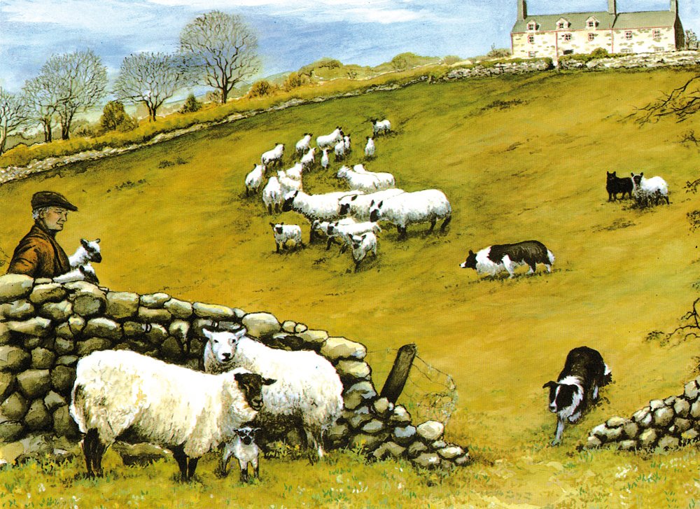 Tuftop Large Textured Worktop Saver Sheepdog and Sheep 50 x 40cm