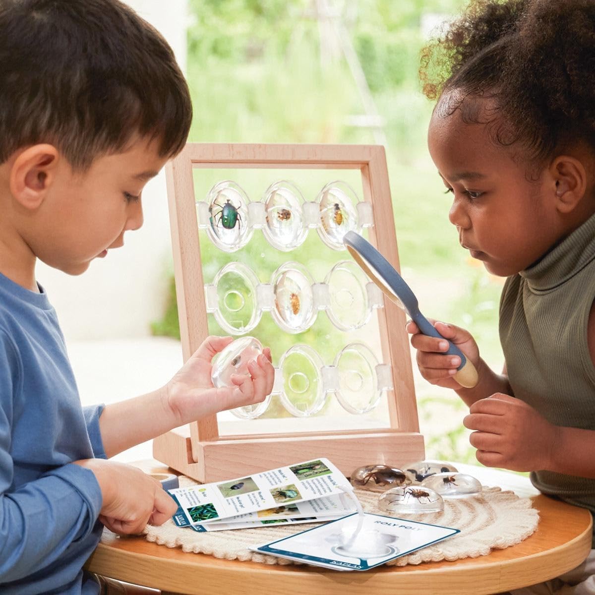 Kaplan Early Learning Specimen Stone Tabletop Stand | Wooden Display Storage Organizer for 9 Piece Set