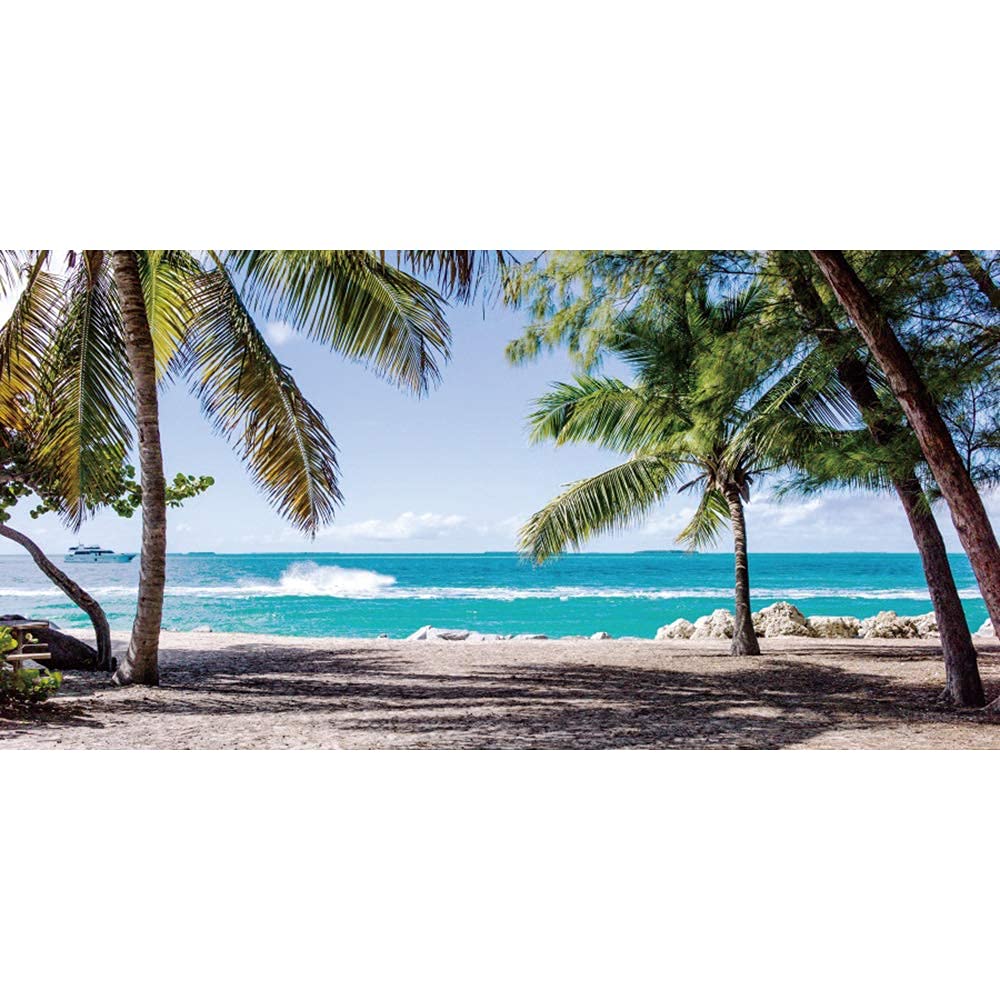 Laeacco 10x5ft Seaside Beach Backdrop Summer Holiday Photography Background Soft Beach Summer Tropical Trees Backdrops Island Sea Waves Palm Trees