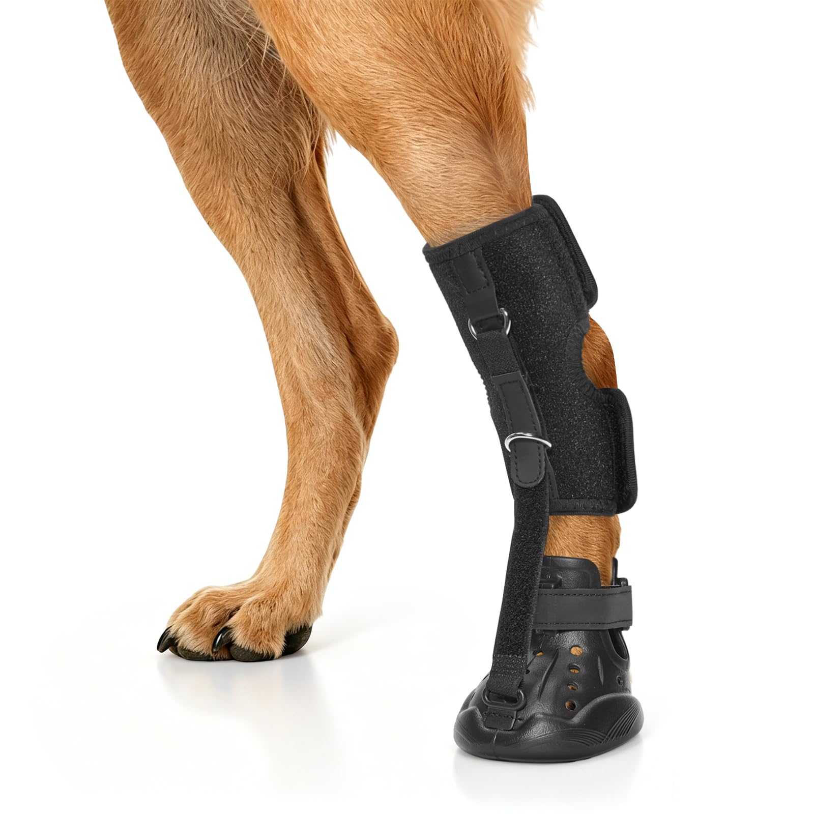 Photo 1 of Dog Shoes for Hot Pavement,Patent Pending?L