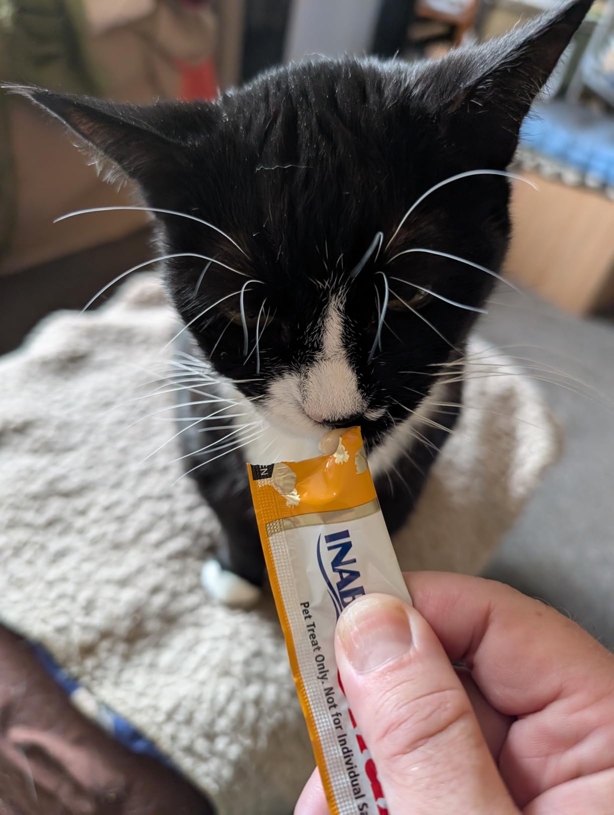 INABA Churu Cat Treats, Grain-Free, Lickable, Squeezable Creamy Purée Cat Treat/Topper with Vitamin E & Taurine, 0.5 Ounces Each Tube, 50 Tubes, Tuna & Chicken Variety photo review