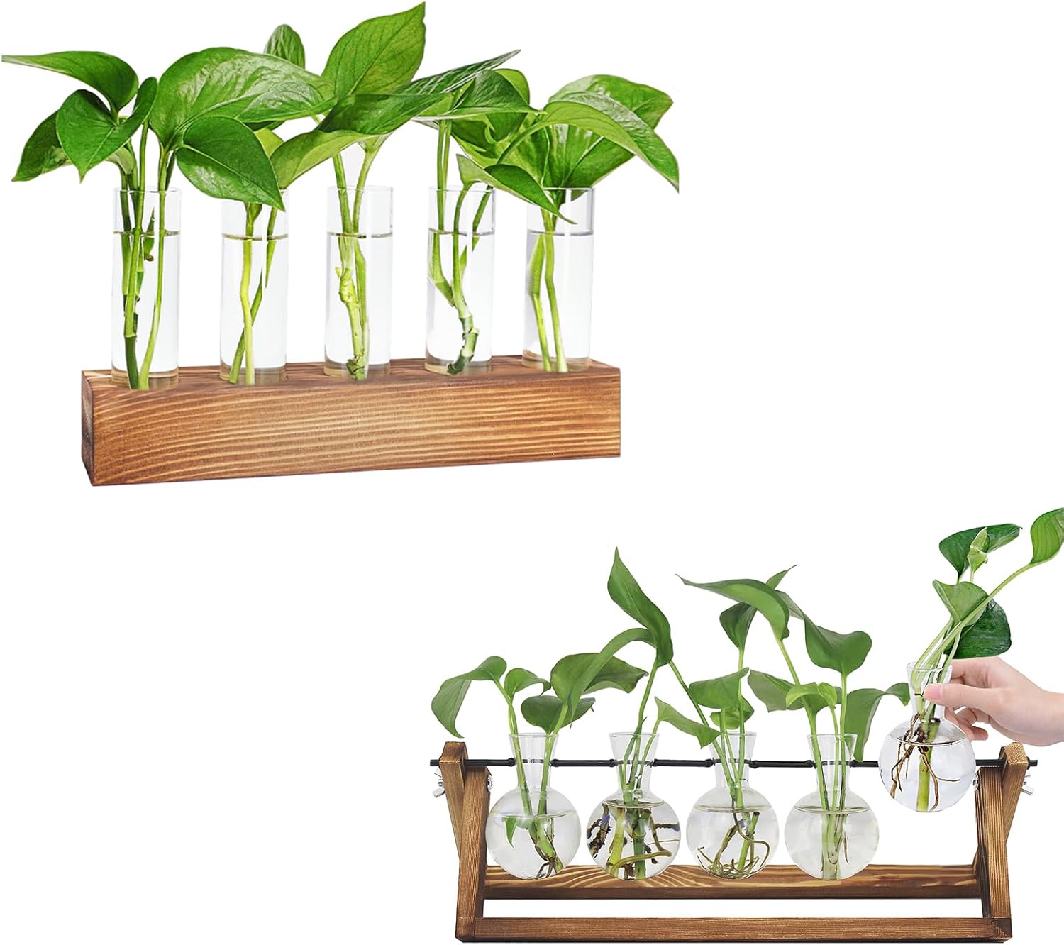 Plant Propagation Station, 5 Test Tube and 5 Bulb Vase