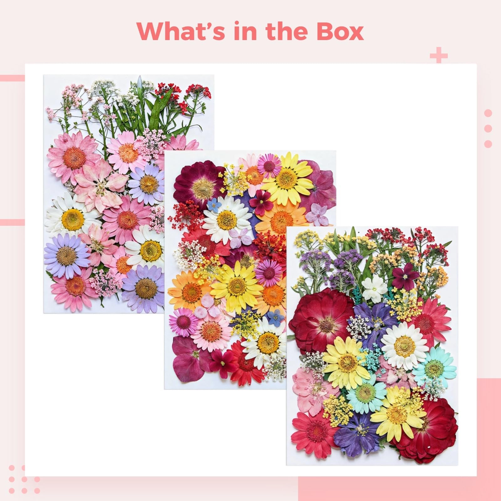 119 STK. Getrocknete gepresste Blumen Set, natürliches DIY Bastelset für Scrapbooking, Harzkunst und Dekoration, farbenfrohe Blüten und Blätter für kreative Projekte, vielseitig einsetzbar