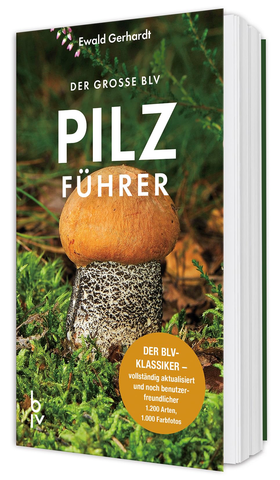 Der große BLV Pilzführer: Der BLV-Klassiker - vollständig aktualisiert und noch benutzerfreundlicher