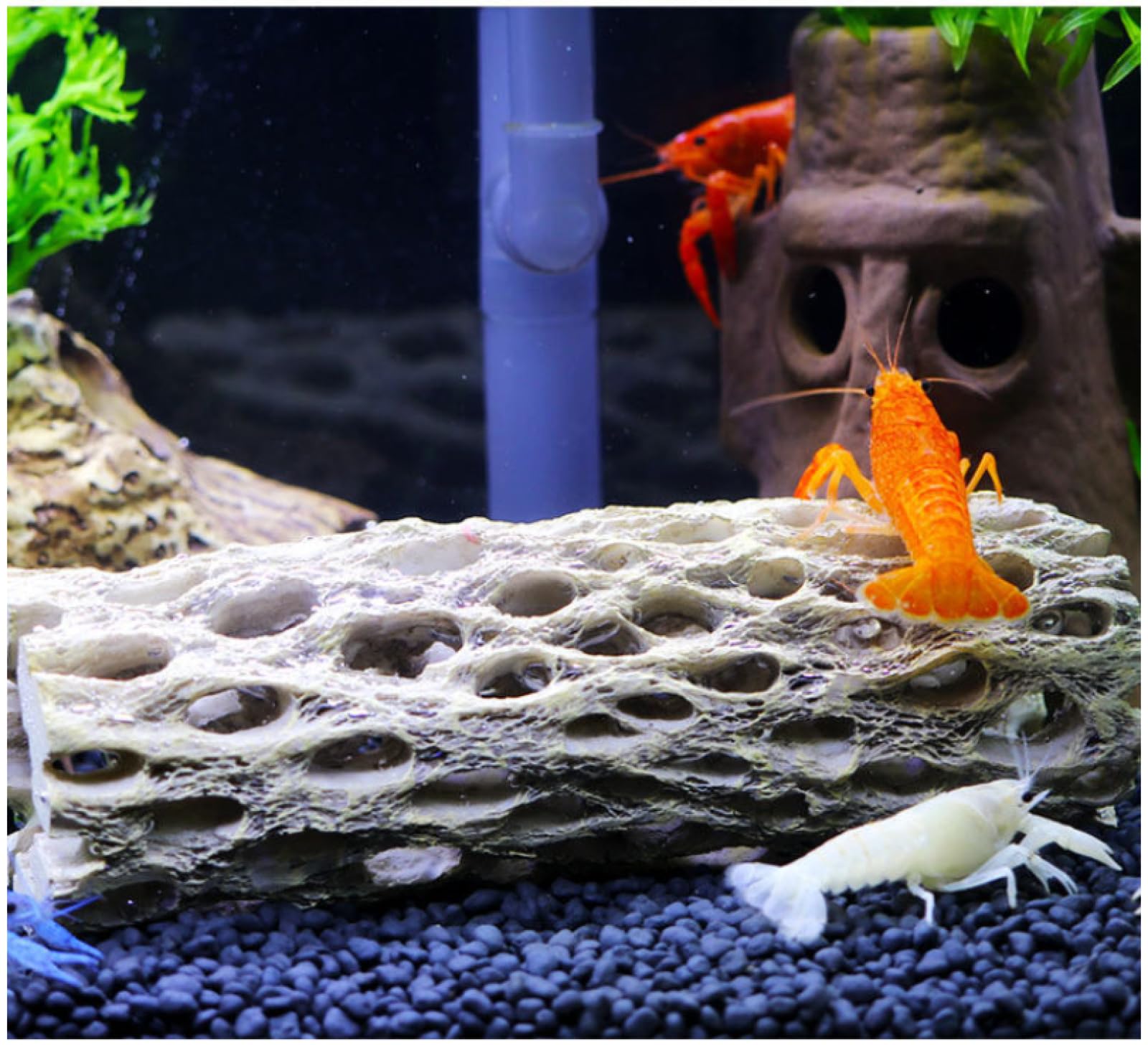 2 pezzi di resina Cholla Wood Fish Tank Landscaping rifugio for gamberetti nido vasca schivare casa foro deposizione delle uova 01