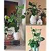 Product Photo 7