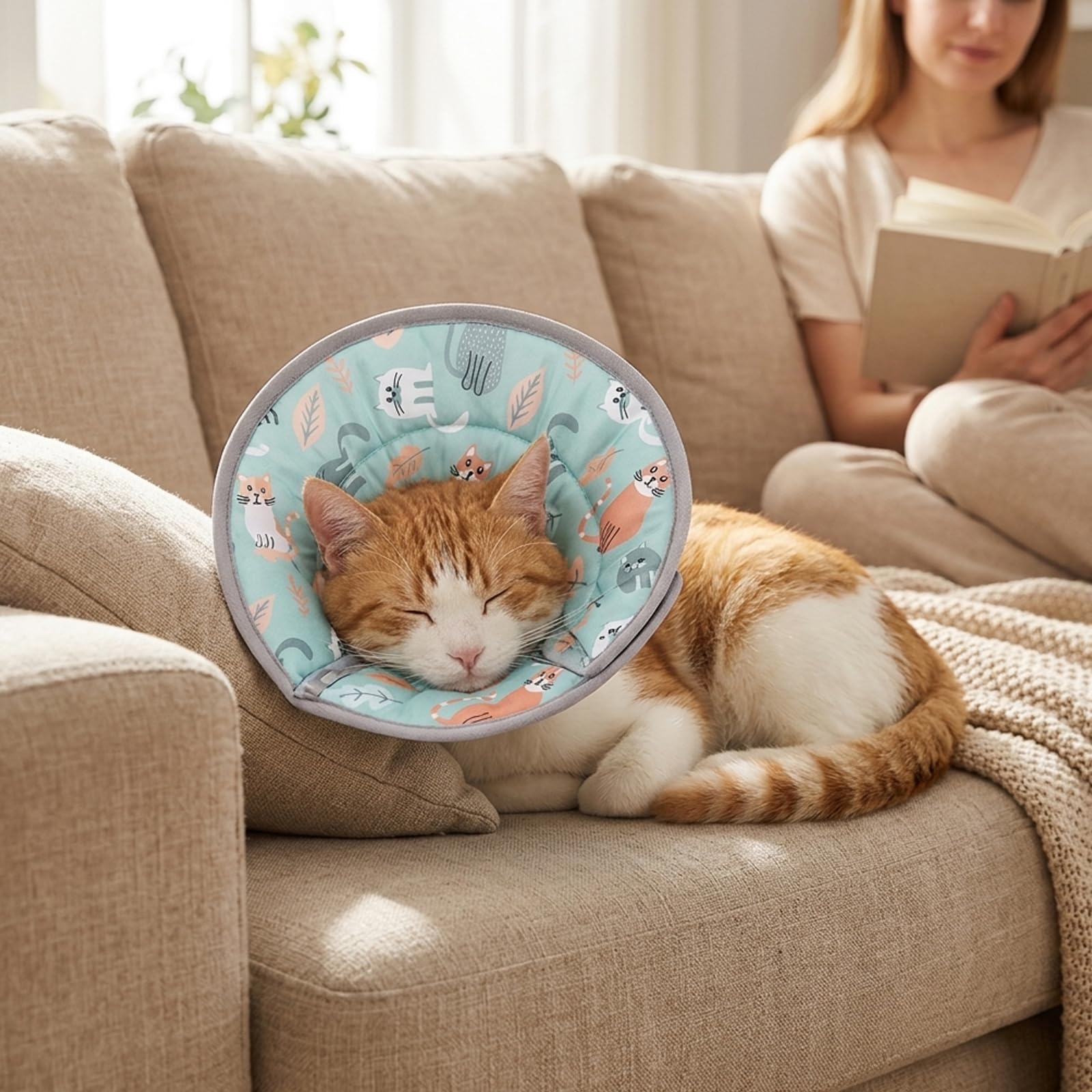 Halskrause Katze Weich, Einstellbarer Halskrause Katze Halsband, Weiche Schutzvorrichtung Für Haustiere, Halsband Weich Kragen für Katzen, Welpenund Kleine Hunde (Grün, M)