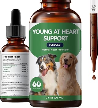Young Heart Support for Dogs, Heart Function, Taurine & L-Carnitine Drops