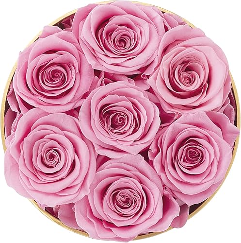 Miniatura 3 de AirCover Rosas reales preservadas con collar de corazón Regalos para el día de San Valentín para ella Regalos de rosas para siempre para mamá