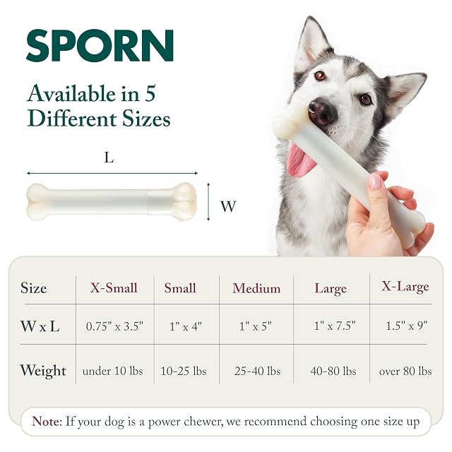 Foto 3 de 7 de Yuppie Puppy Yup. marrowchews, 7 - 1/2-inch por 1 - 1/4-inch, Grande