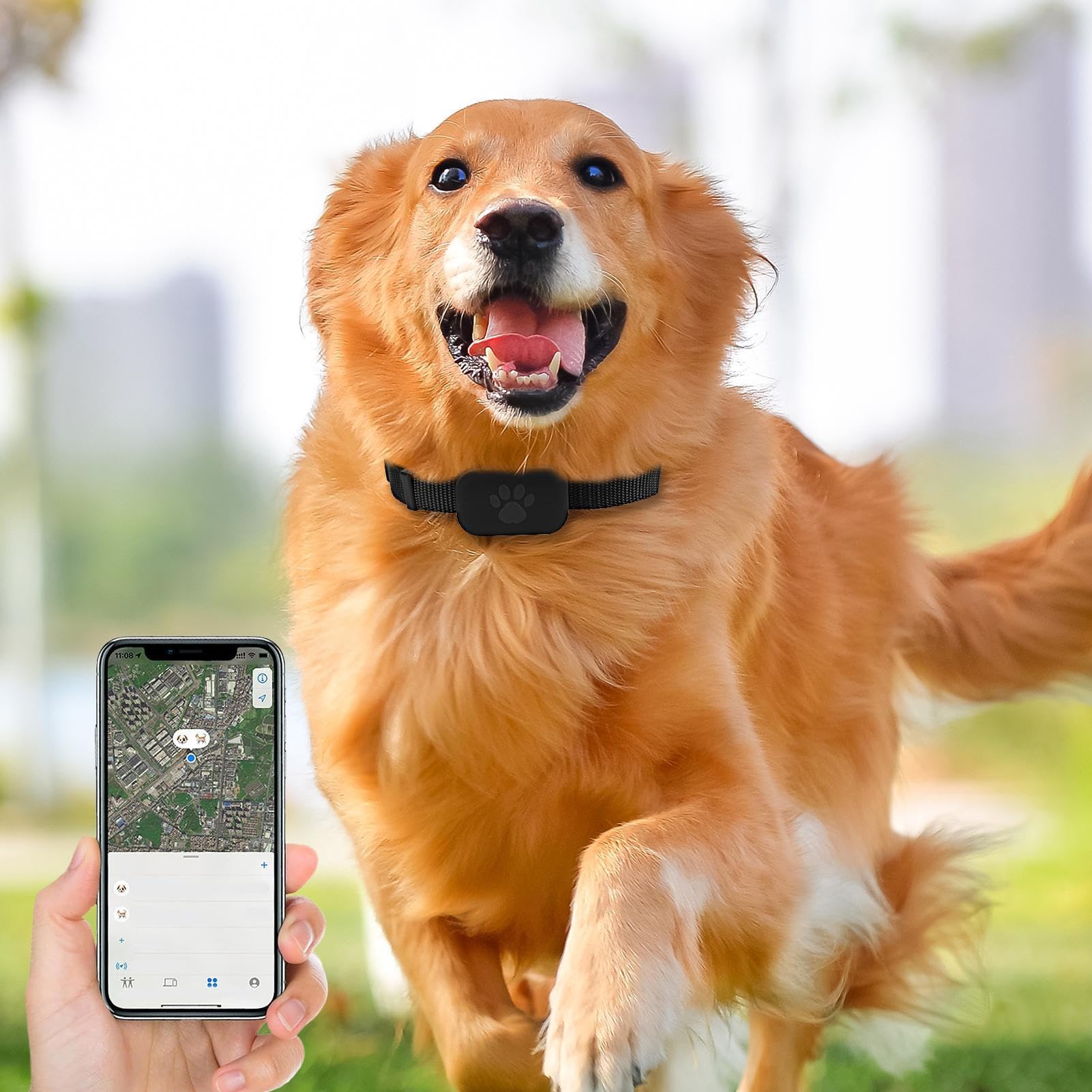 Tracker GPS Pour Chat Sans Abonnement - Collier Anti-Étouffement IP53 - Compatible IOS/Android Via Apple Find My