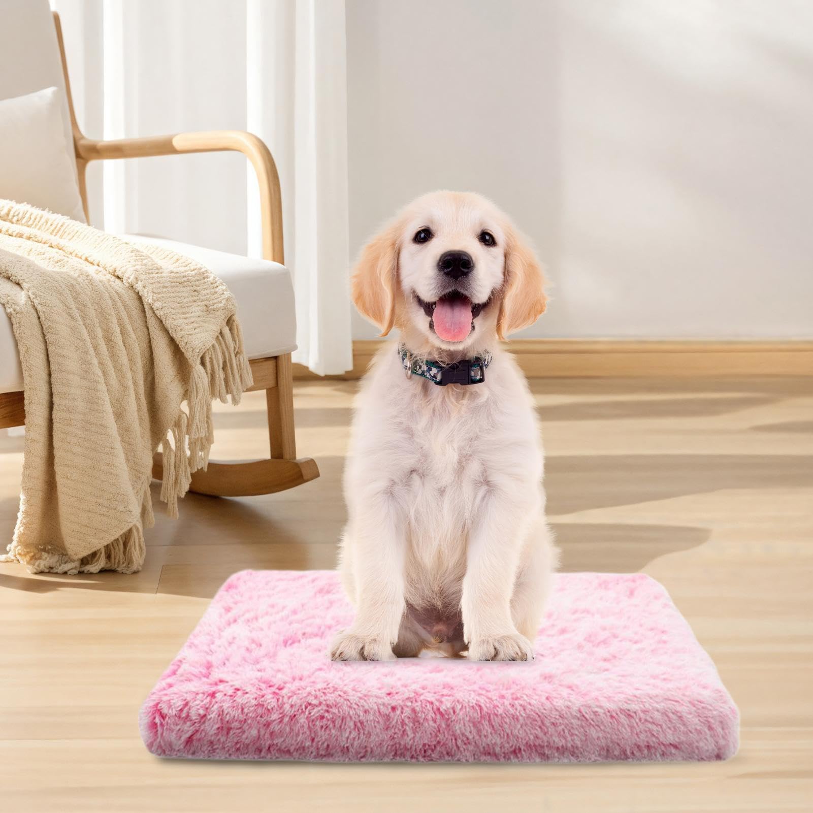 Générique Coussin Chauffant pour Chats Coussin en Peluche