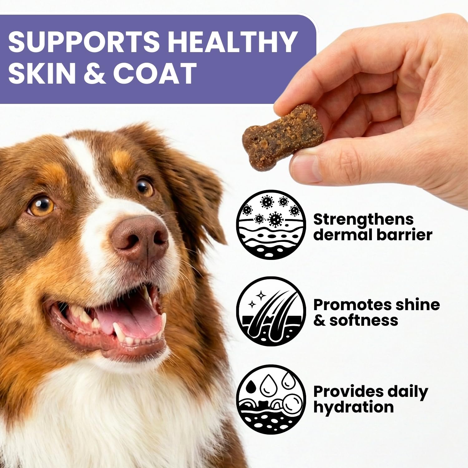 Skin & Coat Supplement for Dogs - Omega 3 6 9 Fish Oil & Vitamin E Soft Chews - Dog Itch Relief, Anti-Shedding & Shiny Coat Support for All Breeds, 90 Count — Amazon image 2