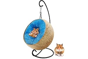 Fhiny Coconut Hamster Cooling Hideout: A Tropical Paradise for Your Furry Friend