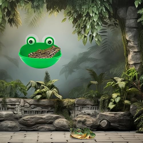 Frog Habitat with Suction Cup, 2 Pcs Cute Fish Tank Accessories Frog Dish Holder Frog Decor Frog Terrarium Decor for Tree Frog Toad Tadpole, Plastic, Green