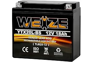 Weize YTX20LBS High-Performance Sealed AGM Battery for Honda Talon