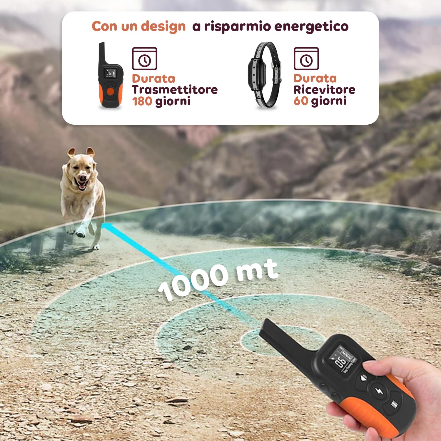 Avilia - Collare per Cani con Telecomando Impermeabile IPX7 Ricaricabile Portata 1000mt Collare Regolabile per Tutte le Taglie