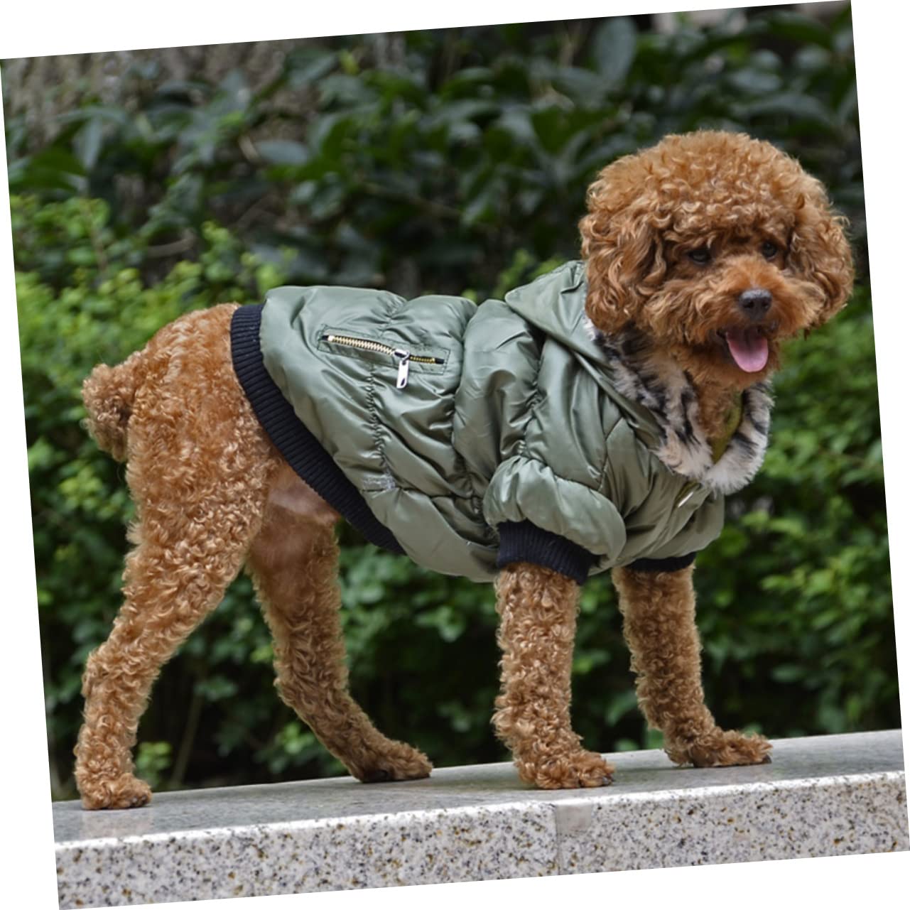 INOOMP 2piezas Abrigo para Perro Chaqueta Cálida De Otoño Invierno Ropa para Mascotas Diseño De Botones Color Verde XS